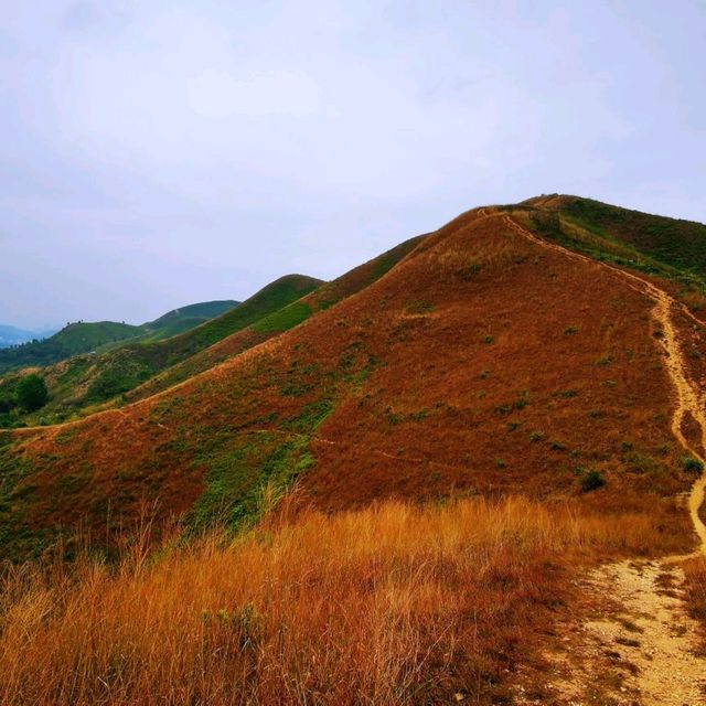 沿著邊境線行山