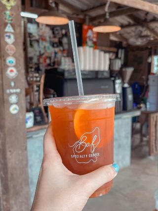 고양이로부터의 탈출 ☕️ BAG:특집 