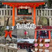 戀愛祈願🫶🏻神户人氣愛情💓生田神社