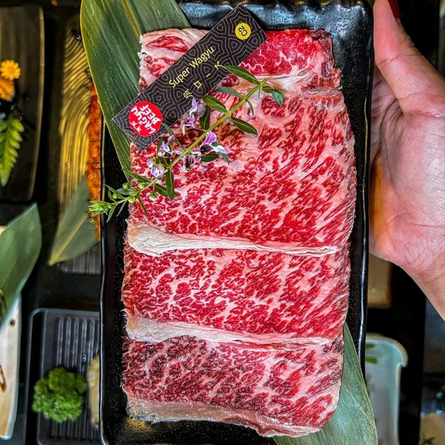 KUMA Sushi × Yakiniku