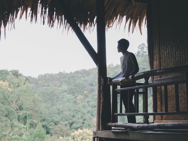 บ้านต้นไม้แม่แมะ Tree House Hideaway