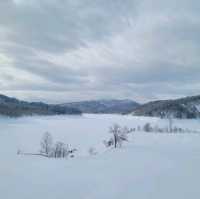 일본여행 비에이로 가는 길에 있는 Katsurazawa Lake