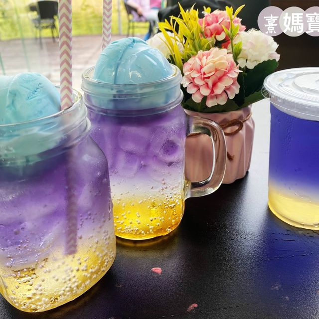 探索蝶豆花園