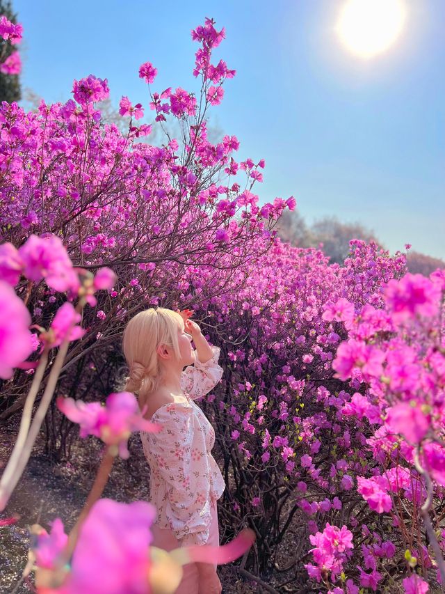 말그대로 꽃동산 그 자체💕