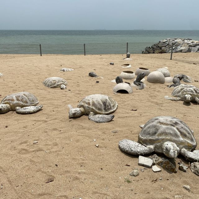 PENGKALAN BALAK BEACH 