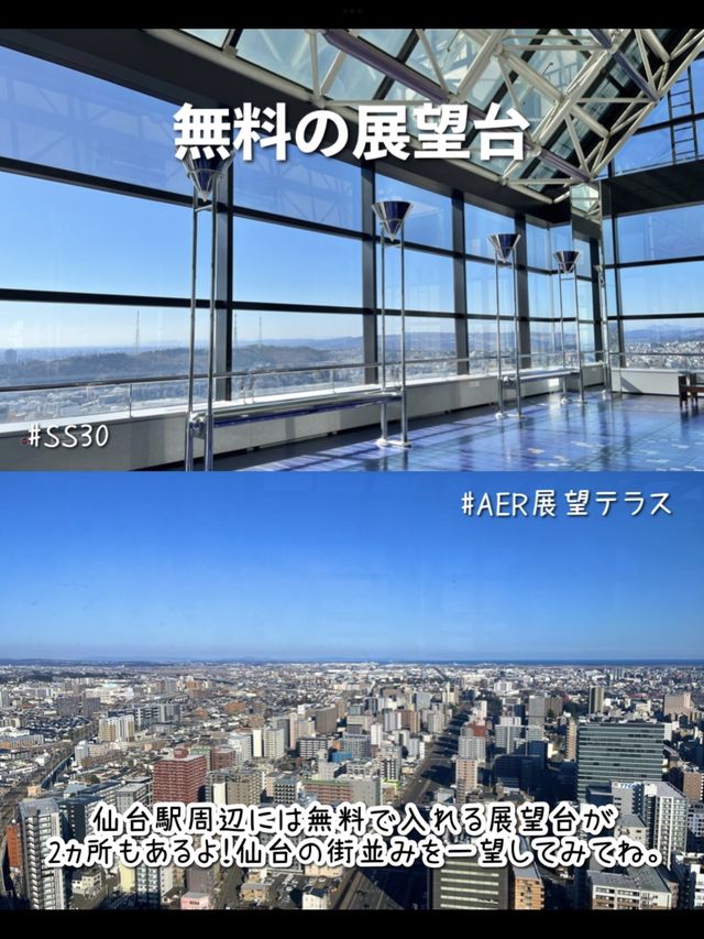【宮城】絶対行くべき！行ってきた仙台の観光スポット7選