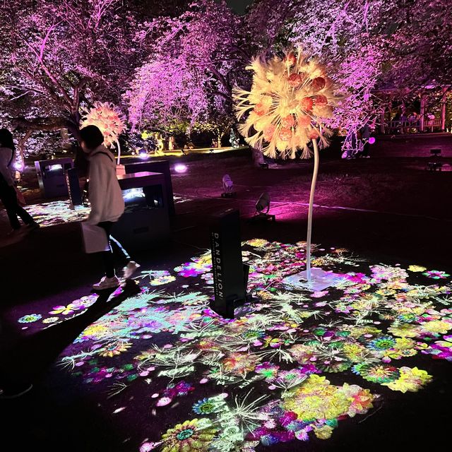 Naked 櫻之新宿御苑2023