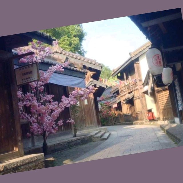 中山影視城日與夜
