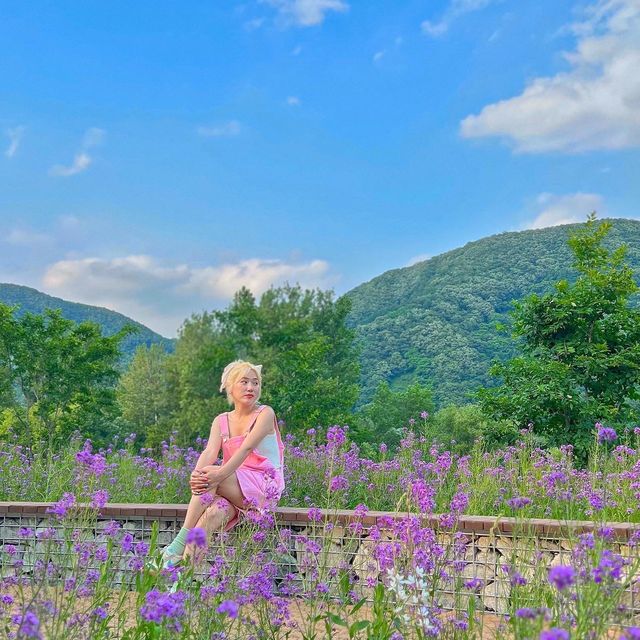 봄꽃놀이 요기 가면 다 있어요😘💓