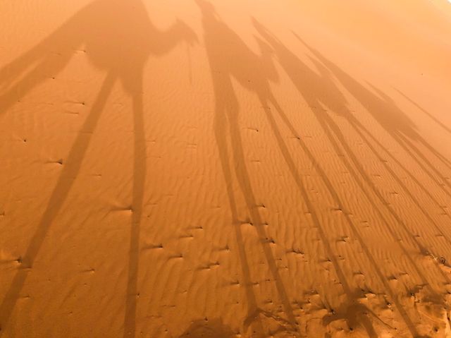 摩洛哥🇲🇦世界最大之撒哈拉沙漠🏜️(日)