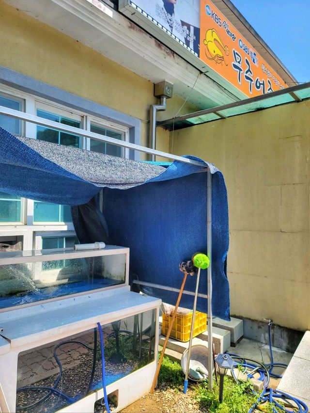 찐로컬맛집이라는 무주어죽🏠