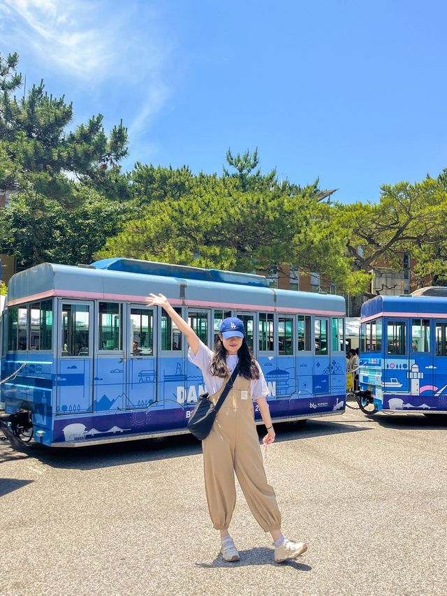 하이파이브와 함께한 부산 트래킹 💜