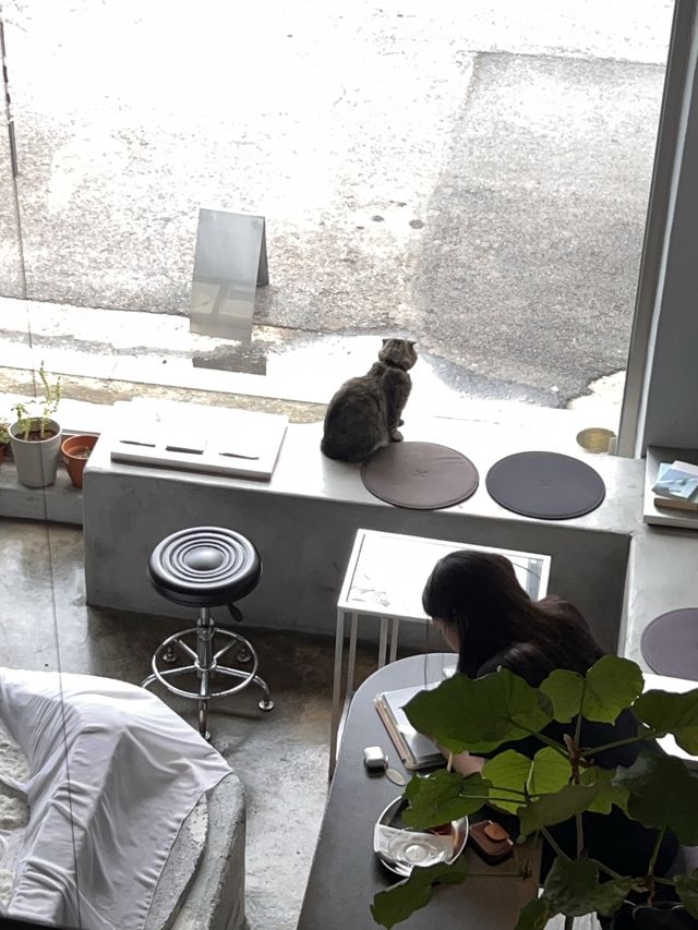 韓国/ソウル【文来】看板猫ちゃんがいるオシャレなカフェ☕️
