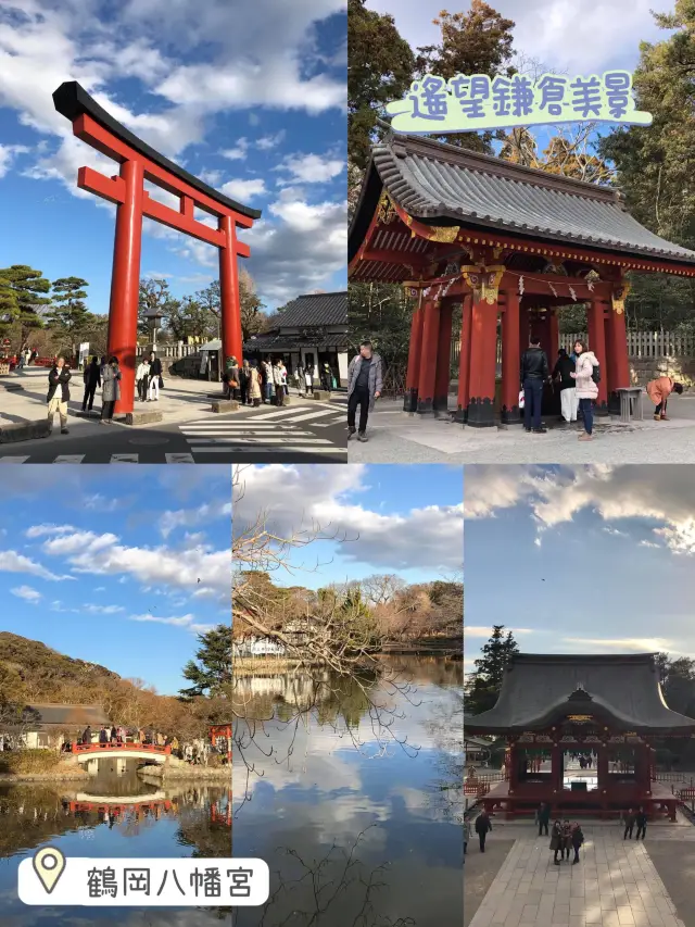 鎌倉鶴岡八幡宮😬鎌倉必訪歷史景點☺️超令市區景色🤣東京近郊推薦