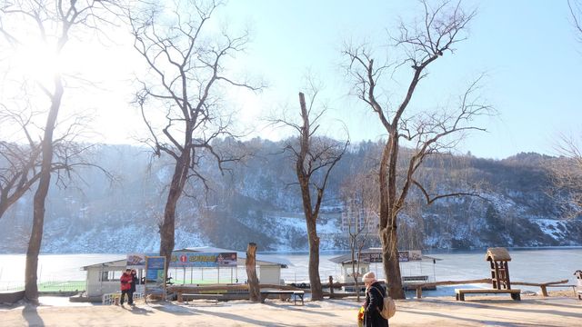 Reminiscing Winter Sonata in Nami Island