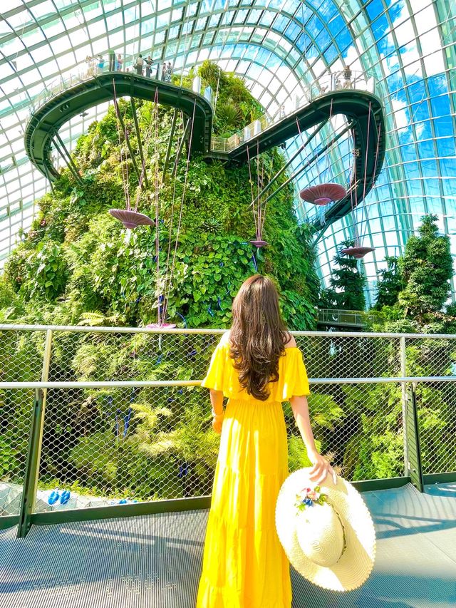 Avatar Experience x Cloud Forest 