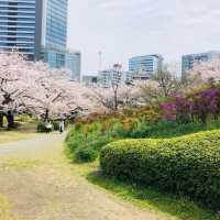 「旧芝離宮恩賜庭園」おすすめ花見スポット