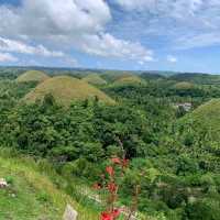 Chocolate Hills in Bohol Philippines 