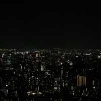 🏙️ 시티 브리즈, 도쿄 모리타워에서의 멋진 하루! 🌆