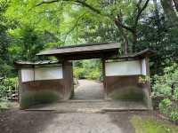 東京・文京区。江戸二大庭園の一つ『六義園』