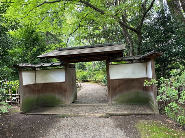 東京・文京区。江戸二大庭園の一つ『六義園』