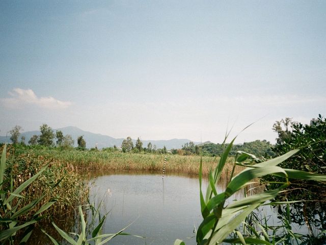 南生圍一日遊