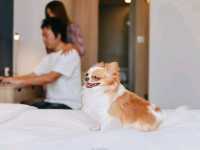 Staybridge Suites Bangkok Thonglor