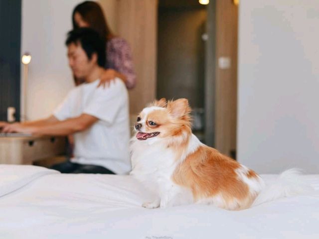 Staybridge Suites Bangkok Thonglor