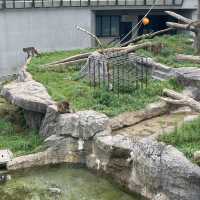 円山動物園