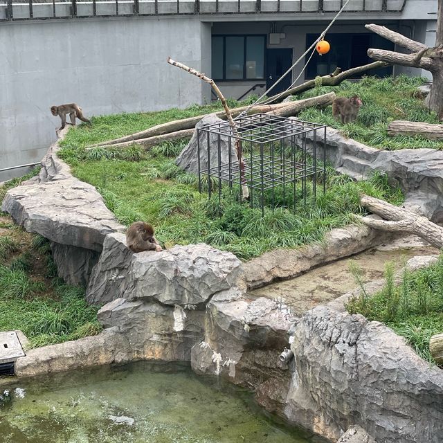 円山動物園