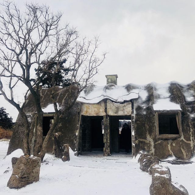 넓은 평원에 펼쳐진 설경❄️