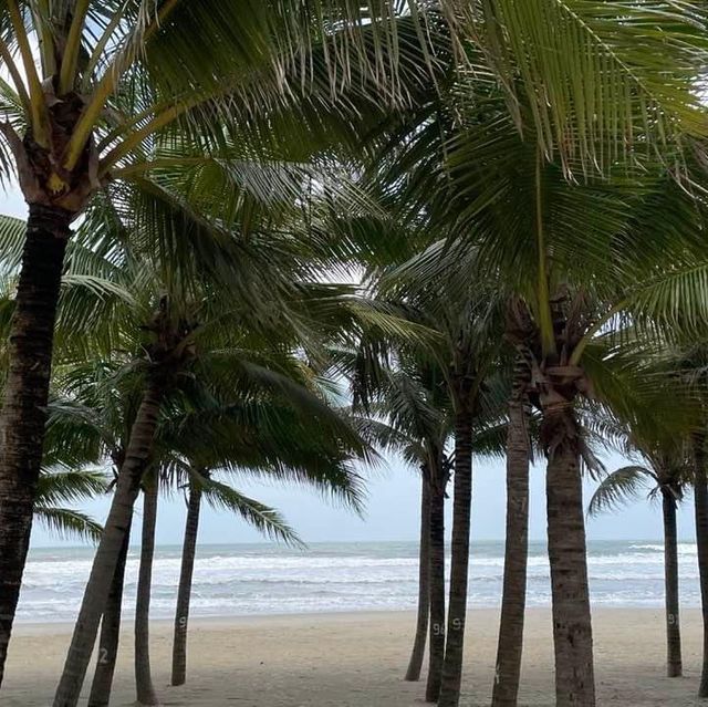 My khe beach 