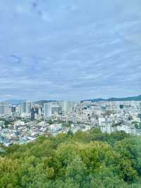 광주여행 양림동 가볼만한곳 사직공원 전망타워 💕