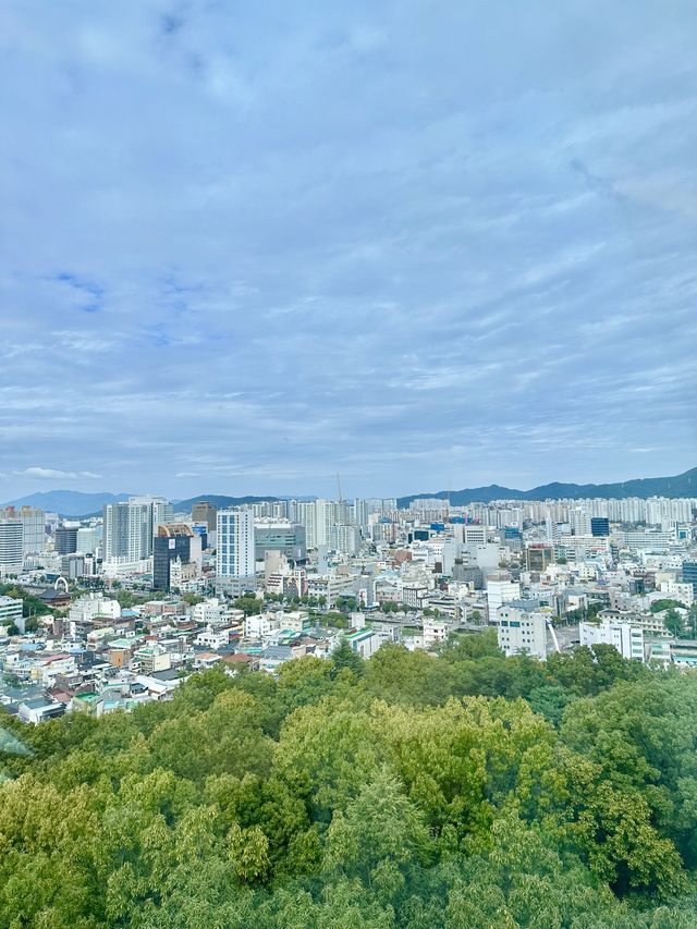 광주여행 양림동 가볼만한곳 사직공원 전망타워 💕