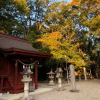 บรรยากาศฤดูใบไม้ร่วง🍁🍂