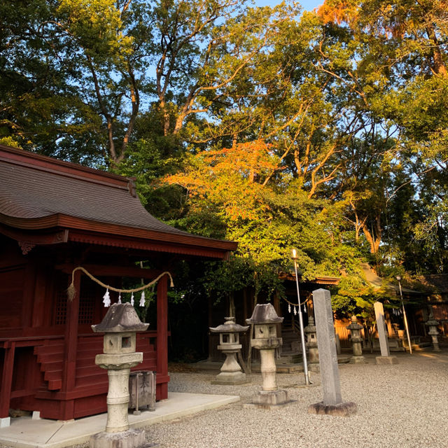 บรรยากาศฤดูใบไม้ร่วง🍁🍂