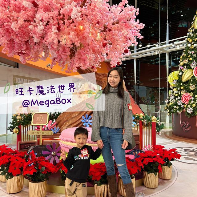 【 進入旺卡嘅夢幻魔法世界 】 