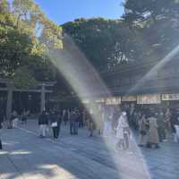 東京最有人氣的宗教勝地 ─明治神宮