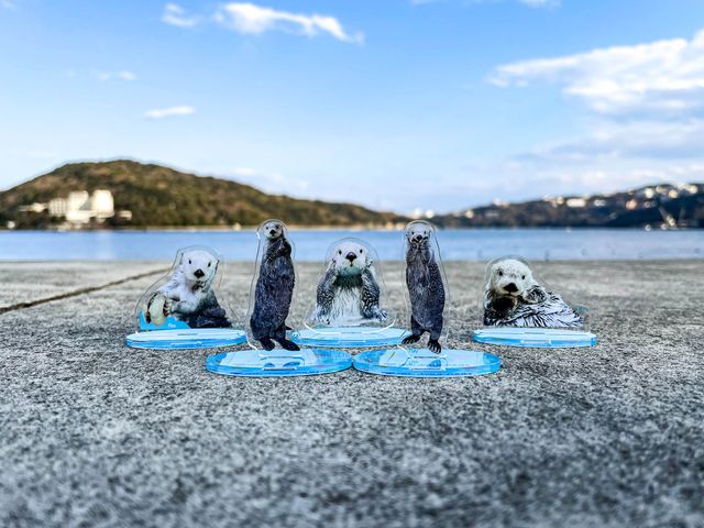 【三重県】飼育数日本一の水族館「鳥羽水族館」