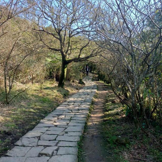 風光明媚-冷水坑坑生態池