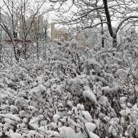 雪の中のホーエンシュバンガウ城❄️
