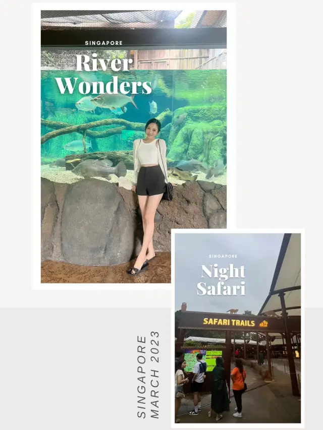 สวนสัตว์ River Wonder-Night Safari 🇸🇬Singapore