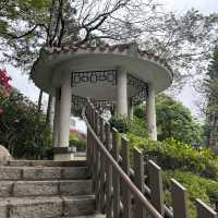 Chinese Garden at City University 