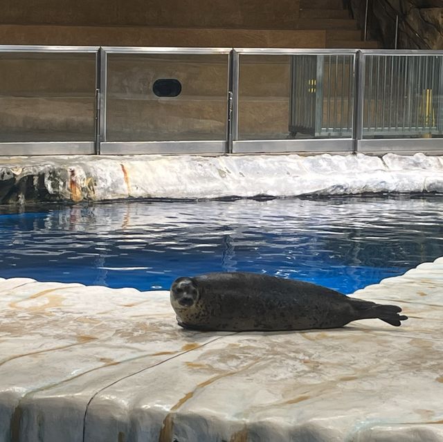 海洋公園：北極之旅