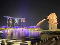 Marina bay sandsでnight show🌃🌙