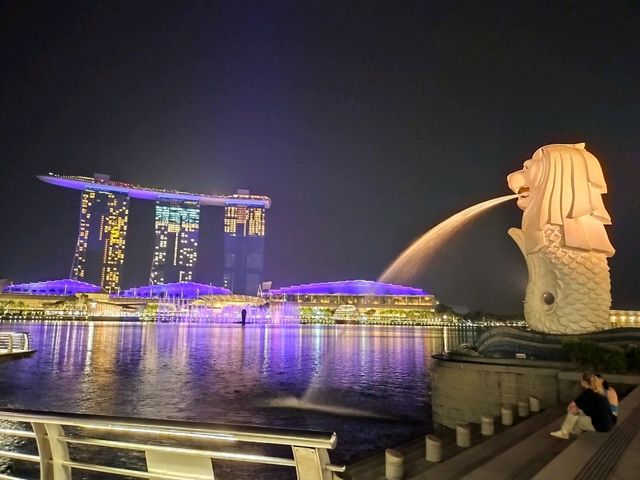 Marina bay sandsでnight show🌃🌙