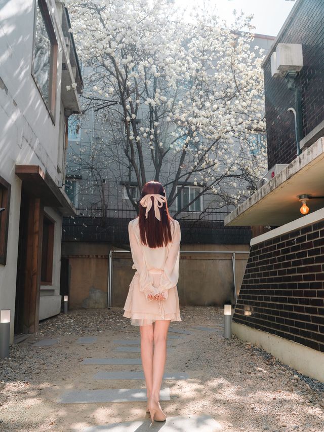 대구 목련카페 핫플 포토존이 유명한곳💓