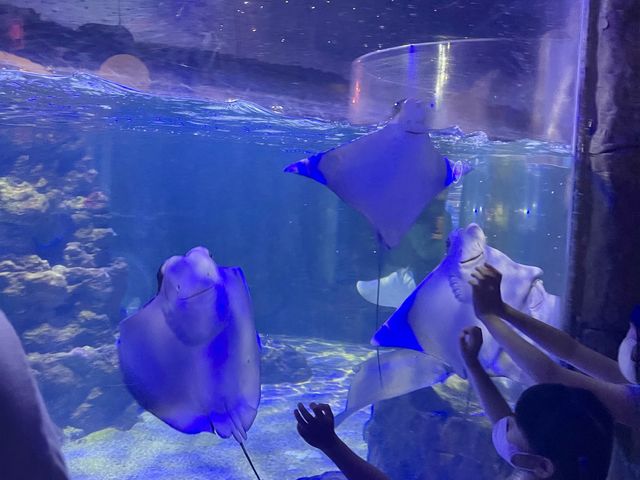 부산 해운대 씨라이프 아쿠아리움🐠