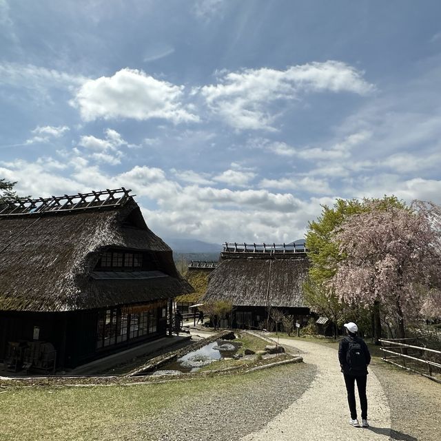 Saiko Iyashino- Sato Nenba