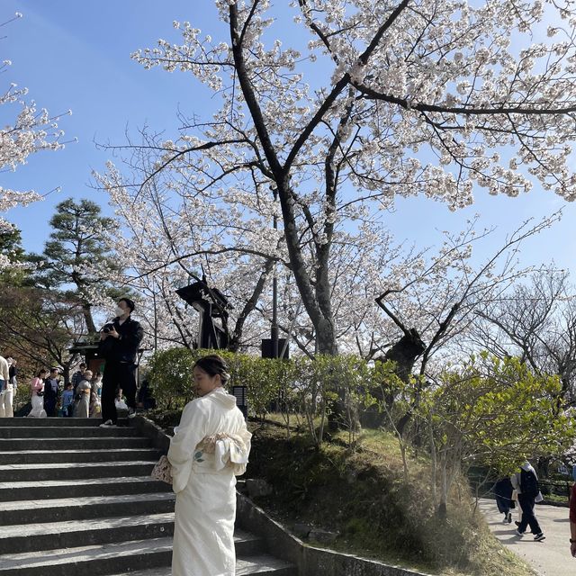 京都清水寺：賞櫻參拜🌸逛逛拍照地分享
